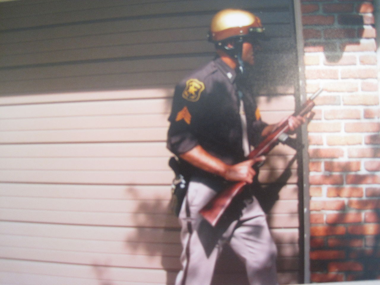 OtherpoliceFolder – WAYNEcounty – Copy