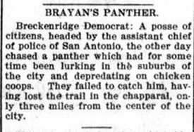 1900Jan9Pg3C4AccONC5PantherChaseAsstCHoPolCrp - Copy