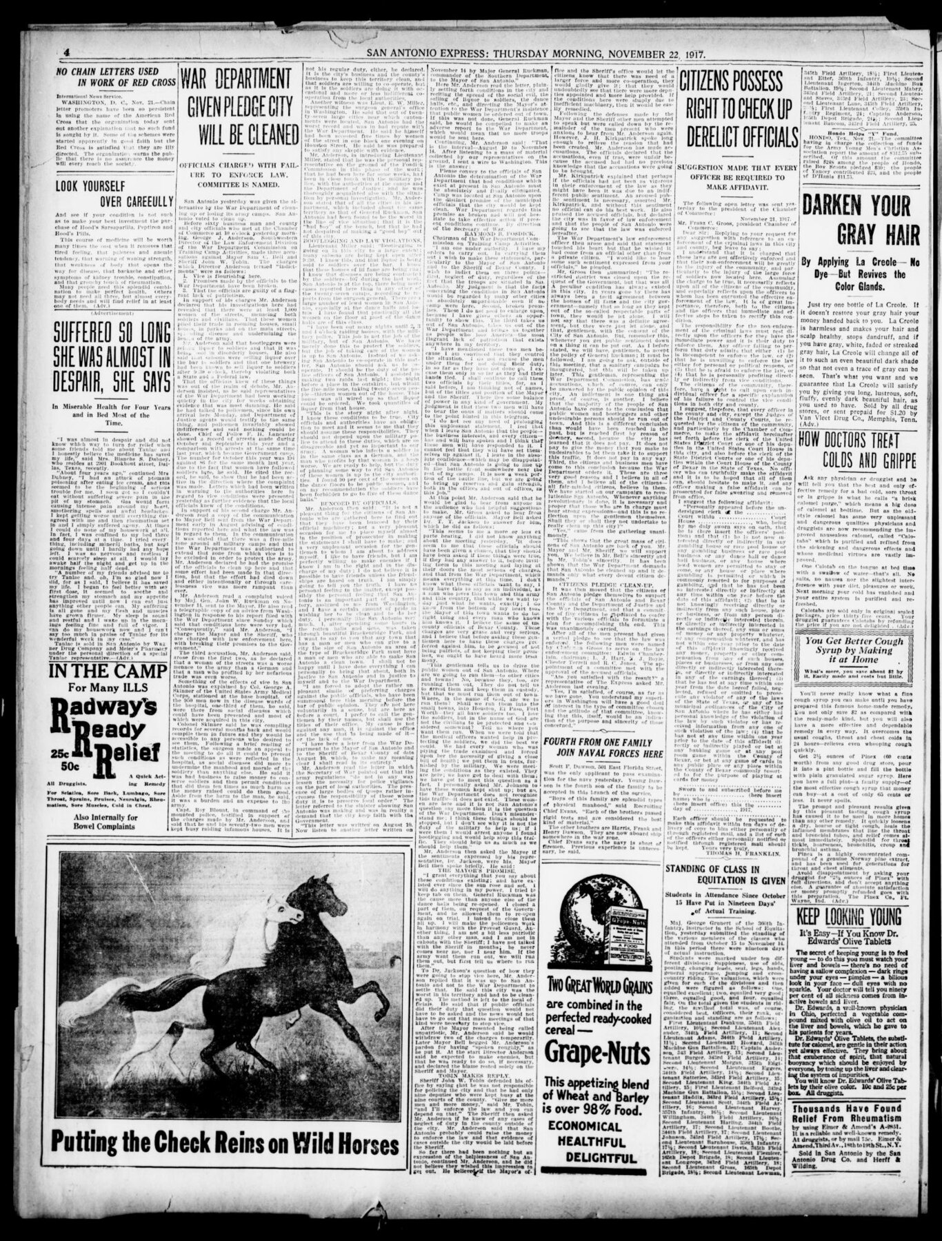 SAEx Nov1917Vice