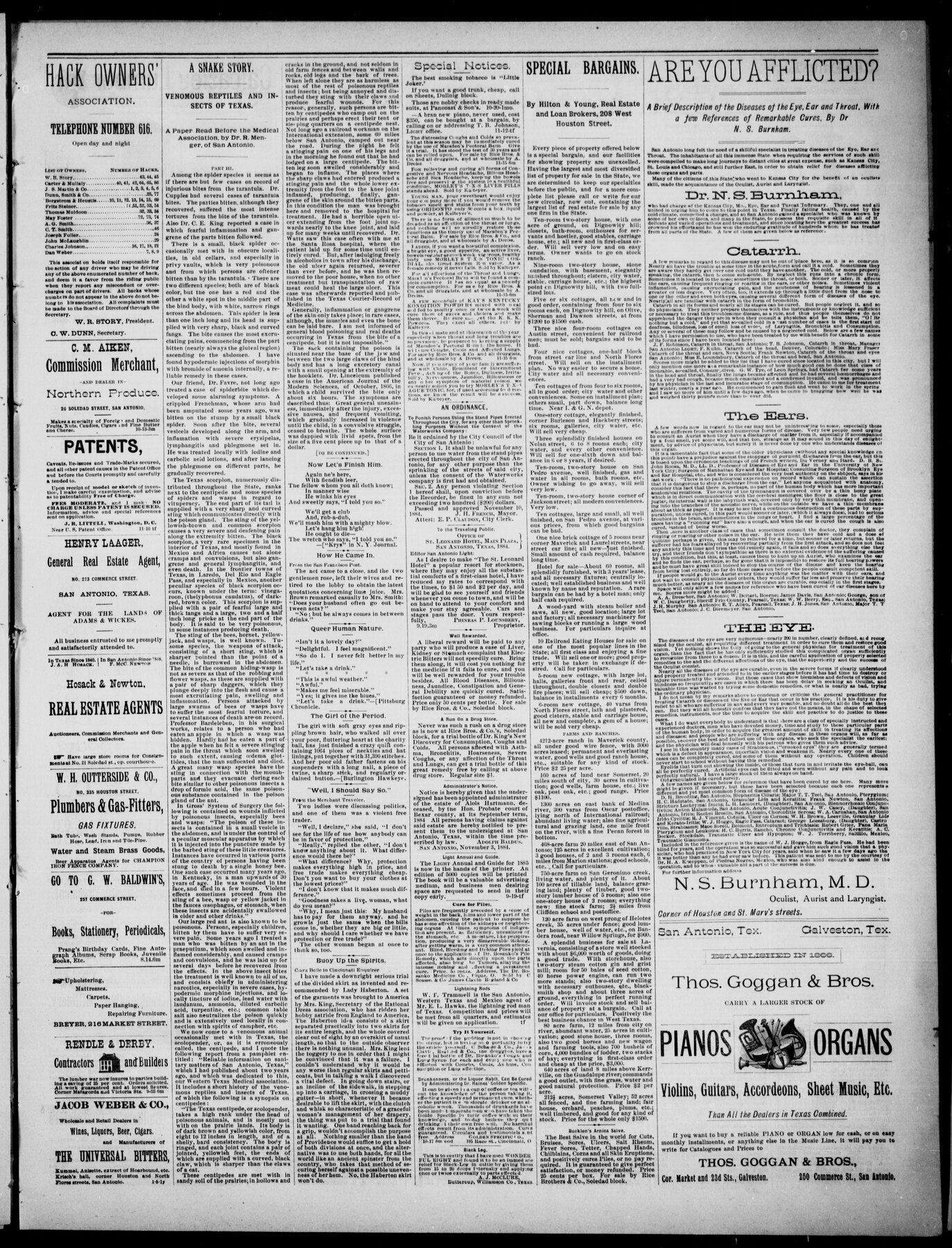 1123Snake21Nov1884
