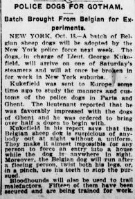 NYPolDogs1907
