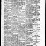 NewspapersFolder1875 – metapth442447_xl_0003Dtd19Oct1875C1ONs : 