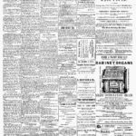 NewspapersFolder1875 – news-te-sa_an_da_ex.1875_05_28-0002C2MilTlg : 