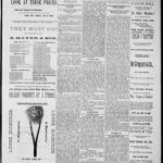 NewspapersFolder1883 – metapth162735_xl_1216Dtd14Dec1883C3ON : 