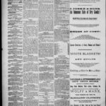 NewspapersFolder1884 – metapth162775_xl_0116Dtd5Feb1884C2-3SantAdvice : 