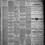 NewspapersFolder1884 – metapth162951_xl_0829Dtd29Aug1884C3-5ONs : 