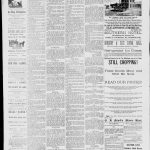 NewspapersFolder1885 – metapth163187_xl_0544Dtd6Jun1885C2-3ONs : 