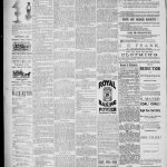 NewspapersFolder1885 – metapth163324_xl_1100Dtd17Nov1885C2-3ONLoc : 