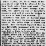 NewspapersFolder1907 – NYPolDogs1907 : 